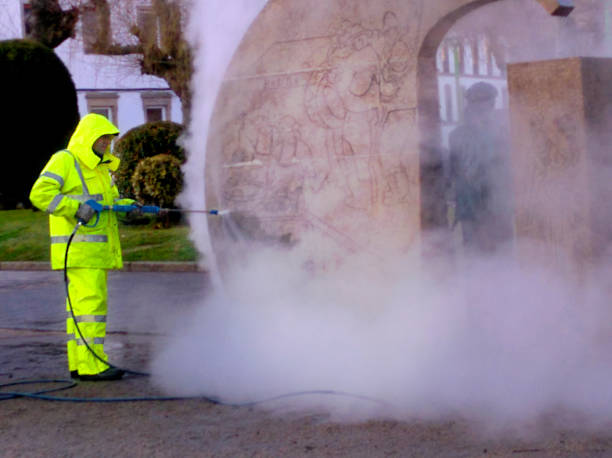 Best Roof Pressure Washing  in Interlachen, FL